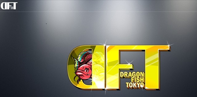 DFT（Dragon Fish Tokyo）NFTの初期費用
