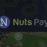 【スマホもOK】仮想通貨NutsPayの買い方・取引所を図解！